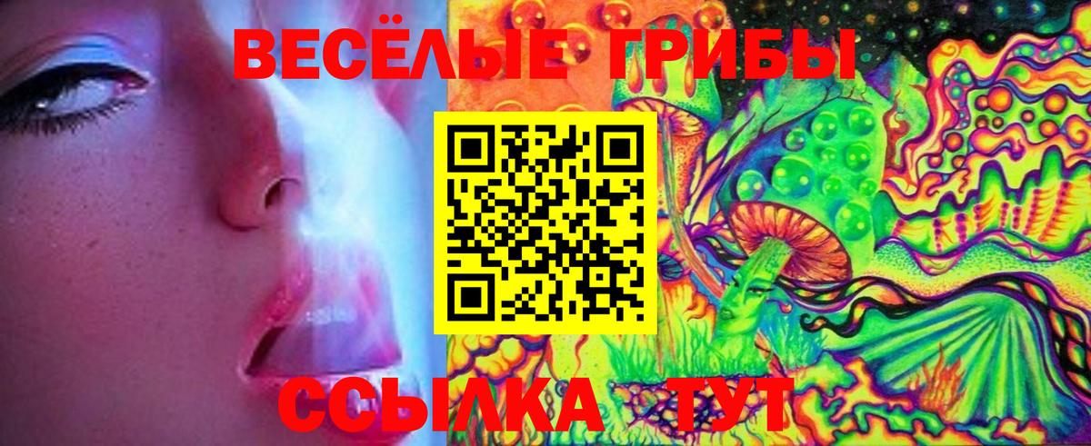 Галлюциногенные грибы Psilocybine cubensis  Галлюциногенные грибы ЛСД  Старый Оскол  Вход с VPN 